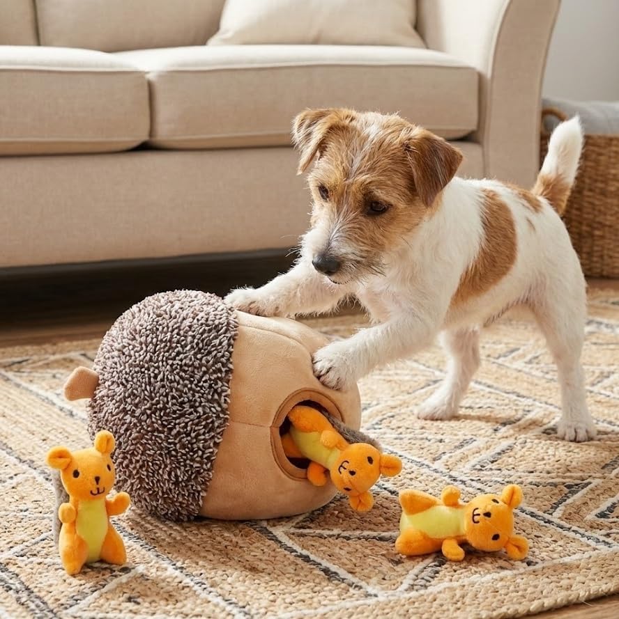 MODERN WAVE - Interactive Squeaky Plush Hide and Seek Squirrel Type Puzzle Toy for Dogs, Medium Size (Nut and Squirrels)