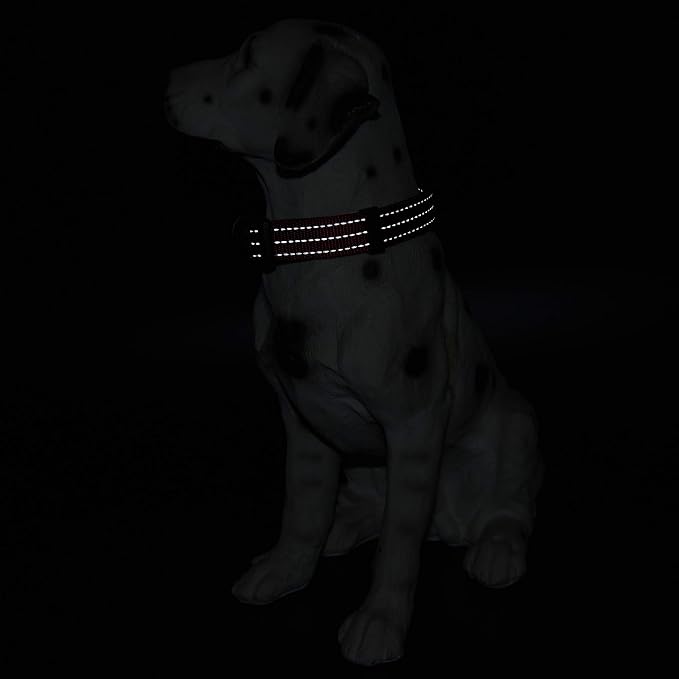 Mile High Life Reflective Dog Collar, Adjustable Lightweight Quick Release