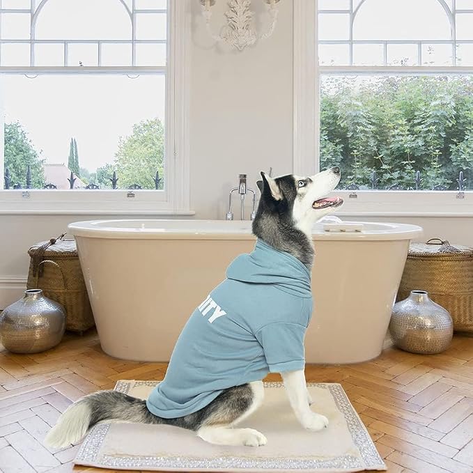 BINGPET Security Dog Hoodie, Pet Sweater Clothes with Leash Hole, Blue | Warm Dog Sweatshirt for Small Medium Large Dogs, All-Season Cold Weather Comfort & Fit, Soft Winter Hooded Pullover Outfit