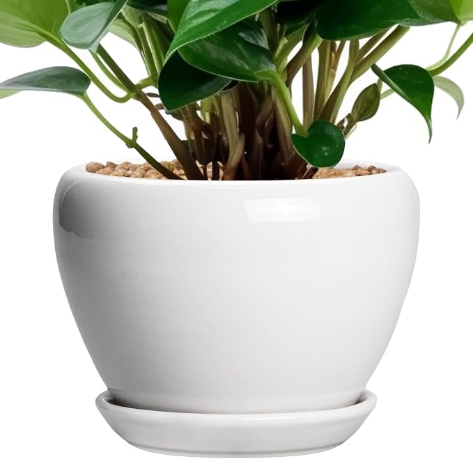 Ceramicfor Ceramic Pot for Plants - 6 Inch Plant Pot for Succulent Plants, Glaze Modern Round Planter with Drainage Hole and Saucer, Gifts for Plant Lovers, Home Office Patio Room Decor, White