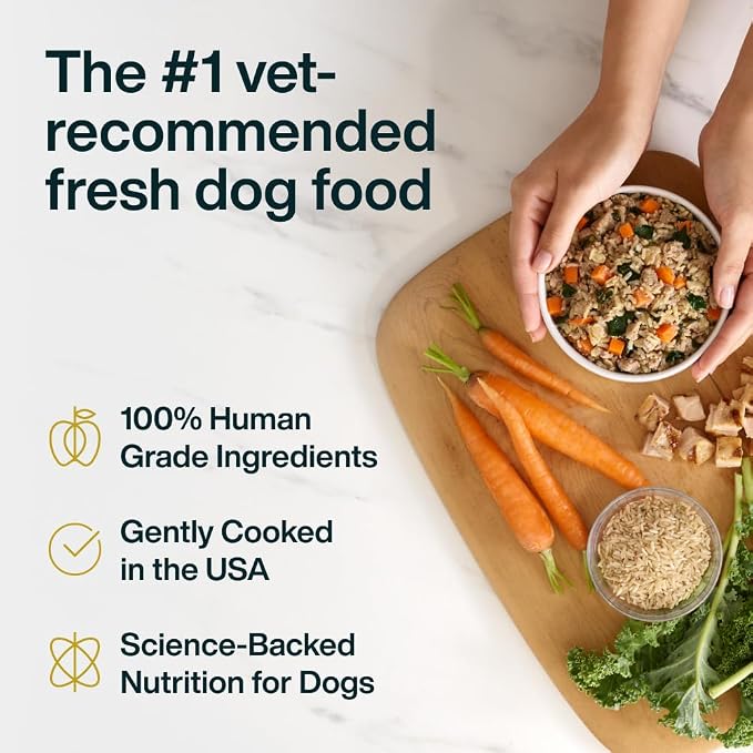JustFoodForDogs Pantry Fresh Wet Dog Food, Complete Meal or Dog Food Topper, Chicken & White Rice Human Grade Dog Food Recipe - 12.5 oz (Pack of 12) | Fresh Pet Meal or Fresh Dog Food Topper, Human Grade Recipe Made With Whole Foods, Preservative-Free,...