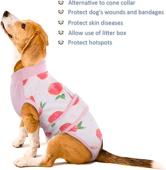 Kuoser Recovery Suit for Dogs Cats, Soft Dog Surgery Suit Female Male Spay | Professional Dog Onesie for Surgery, Substitute E-Collar & Cone, Prevent Licking Dog surgical suit Pet Neuter Suit