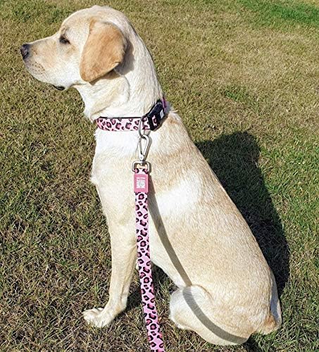 Max & Molly Urban Pets Smart ID Dog Collar - Soft Neoprene, Waterproof, Machine Washable, Power Buckle, Gotcha! QR Tag & Custom App Profile, Leopard Pink M