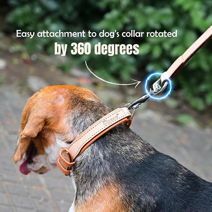 Airtag Luxury Real Leather | Genuine Leather Soft Padded Dog Collar for Medium Large Dogs Ultra | Leather with Anti -Rust Hardware (Size - XL) Fits Neck 21, 22, 23, 24 & 25 inches