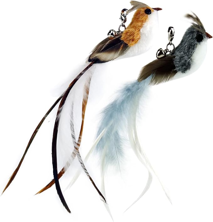 TTcat 10 Pack Cat Wand Toy Replaceable Refills, Realistic Bird Bee Insect Natural Feather Attachments with Bells, Detachable Clip-on Teaser Replacement for Cat Wand.