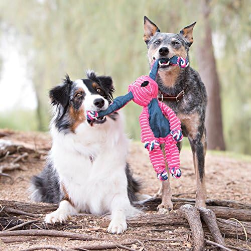 KONG Floppy Knots Rope and Plush Dog Toy, Hippo, Medium/Large