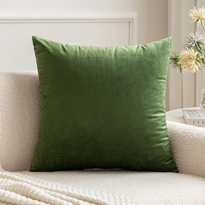 MIULEE 24x24 Inch Euro Velvet Throw Pillow Cover Set of 1 Moss Green | Soft Luxury Decorative Throw Pillow Cover, Single Cushion Case, Home Decor for Chair Couch Sofa Bedroom Car Bed