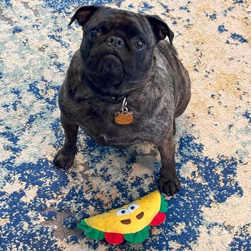 SPOT Fun Food Taco Plush Dog Toy with Squeaker - Interactive Soft, Squeaky Toy for Dogs and Puppies, Keeps Pets Entertained, Cute and Funny Chew Toy Made with Soft Fabric - 6in