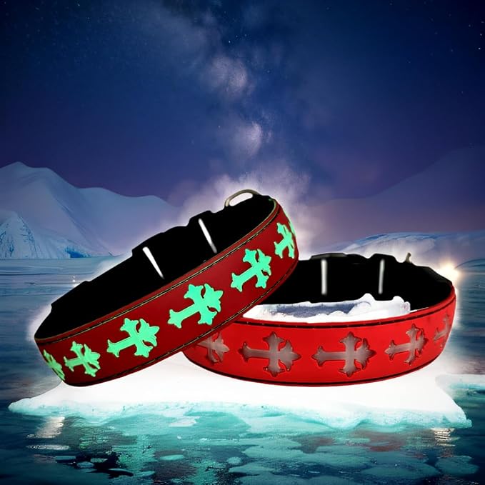 Light Up Glow Dog Collar with Chinese Style AirTag Holder