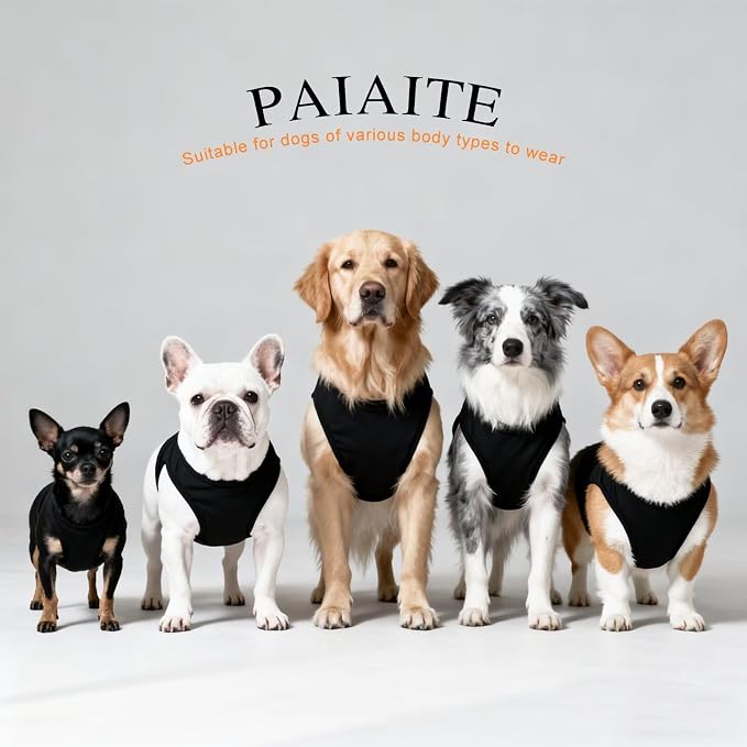 Discover Cozy Cotton Canine Wear: Breathable Soft, and Lightweight Dog Shirt Vest with Eye-Catching Graphics(GOD GOT ME), Keeping Your Furry Friend Warm and Comfy! Black 2XL