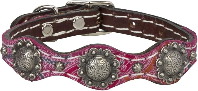 Vintage Paisley Collar