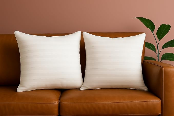 Trendy Home 22x22 Throw Pillow Insert (Set of 2, White) Bed and Couch Pillows Stuffer Hypoallergenic, Decorative Home Indoor Outdoor Sofa Pillow Filler (Machine Wash, 2 Pack)