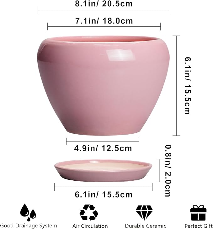 Ceramicfor Ceramic Modern Glaze Succulent Planter Pot with Drainage Hole and Saucer 8 Inch Round Flower Plant Pot for Indoor Outdoor Herb Snake Plants, Pink
