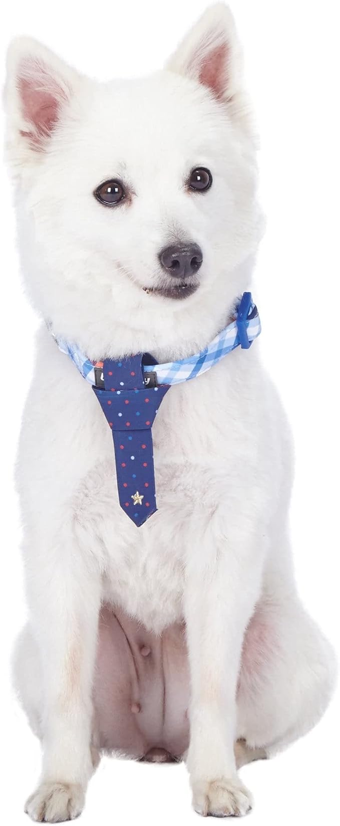Blueberry Pet 4 Patterns Blue Hue Scottish Plaid Style Adjustable Tie Dog Collar, Small, Neck 12"-16"