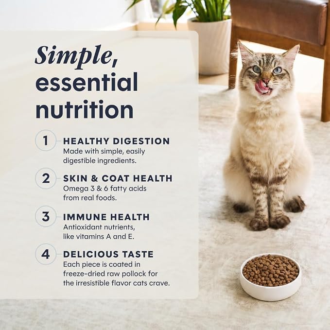 Instinct Limited Ingredient Diet Dry Cat Food, Real Salmon, 4.5 lb. Bag | Single animal protein and vegetable recipe, raw-coated kibble, wild-caught salmon, gentle on sensitive stomachs
