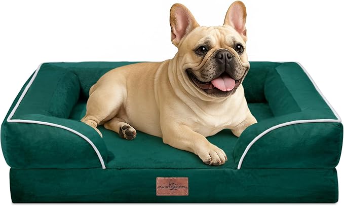 Comfort Expression Waterproof Orthopedic Dog Bed for Medium Size Dog | Supportive Egg Crate Foam Medium Pet Bed with Removable Bolsters, Dog Couch with Washable Cover & Non-Slip Bottom, 30x20 Inch