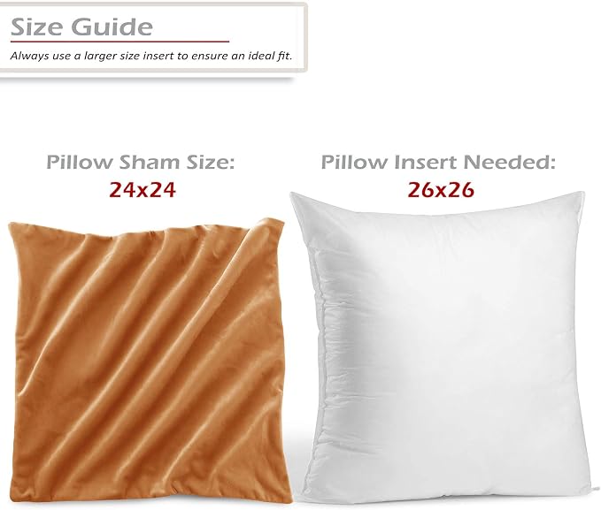 Throw Pillow Inserts Pack of 2 with Velvet Soft Solid Decorative Square Throw Pillow Covers Set for Sofa Couch Car Bedroom, 26X26 Throw Pillows Inserts with 24x24 Washable Cushion Covers,Rust Brown
