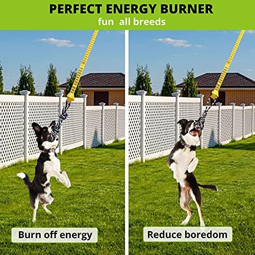 Dog Hanging Bungee Tug Toy: Interactive Tether Tug-of-War for Pitbull Small to Large Dogs to Exercise and Fun Solo Play - Durable Retractable Tugger Dog Rope Toy with 2 Chew Rope Toys