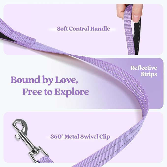 rabbitgoo Dog Harness Medium Sized and Leash Set, Step-in Puppy Pet Vest | Light, Soft, Breathable Air Mesh, Easy on and Remove with Hook & Loop, Secure Reflective for Walking, Light Purple XL
