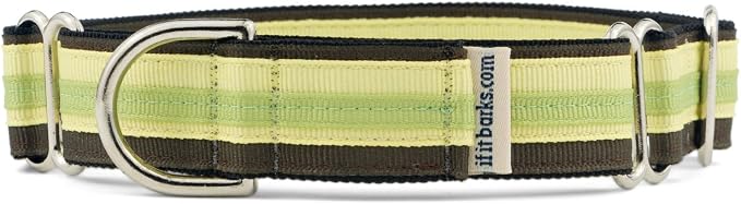 If It Barks 1" Martingale Collar for Dogs, Adjustable Nylon, USA Made, Large, Key Lime Pie