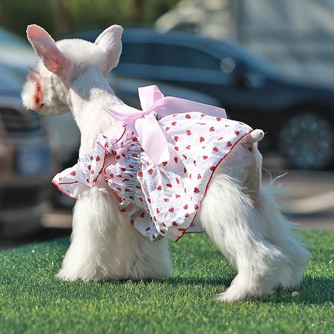 ANIAC Strawberry Dog Dress for Small Medium Dog Cotton Puppy Clothes Girl Dog Princess Dress Sleeveless Cat Outfit Bow Summer Pet Clothing (Strawberry, 2XL)