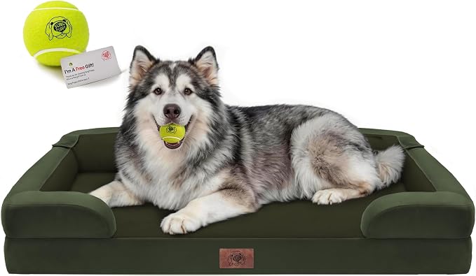 Waterproof Orthopedic Dog Bed for Extra Large Sized Dogs | Memory Foam Pet Bed Sofa with Bolster, Dog Couch with Washable Cover & Non-Slip Bottom, 48x30 Inch, Oliva Green