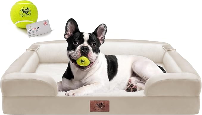 Waterproof Orthopedic Dog Bed for Medium Large Sized Dogs | Memory Foam Pet Bed Sofa with Bolster, Dog Couch with Washable Cover & Non-Slip Bottom, 30x20 Inch, Beige