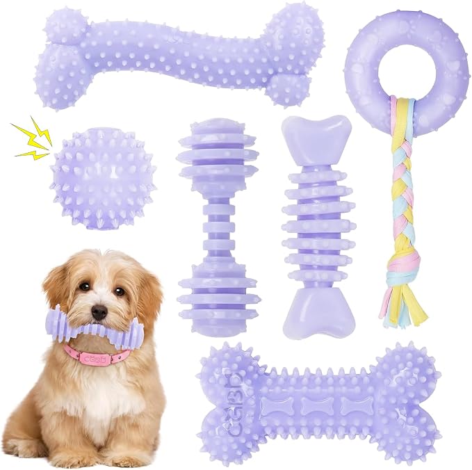 6 Pack Dog Chew Toys, Purple, Small Dog Teething Toys, Soft Durable Interactive Toys for Puppies