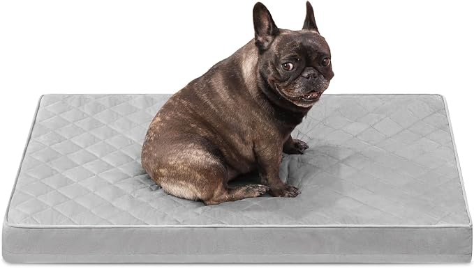 NUPIDA Orthopedic Medium Dog Bed for Crate with Washable Cover, 29x18 | Egg-Crate Foam, Cozy Velvet Pet Mattress, TPU Waterproof Layer, Flat Kennel Pad, Comfy Support, Non-Slip Bottom