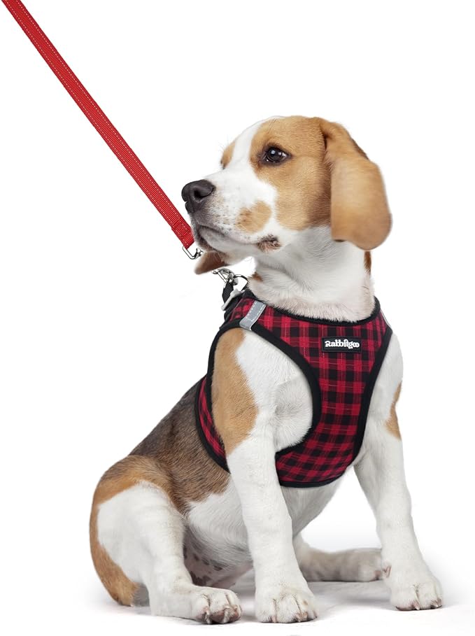rabbitgoo Dog Harness Medium Sized and Leash Set, Step-in Puppy Pet Vest | Light, Soft, Breathable Air Mesh, Easy on and Remove with Hook & Loop, Secure Reflective for Walking, Red Check L