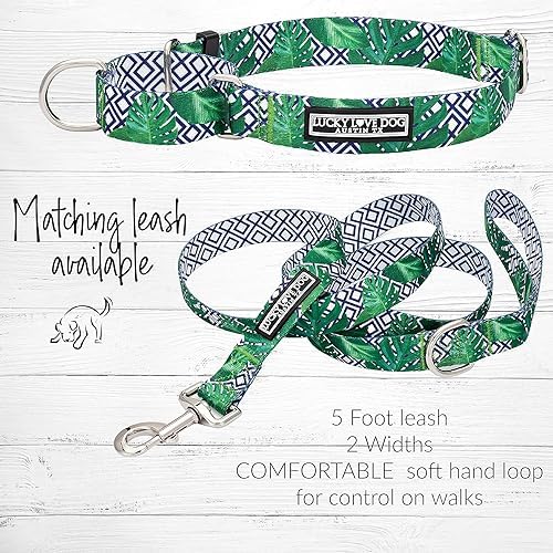 Lucky Love Dog Martingale Collar & Leash Set No Slip – Blue Laguna, Medium