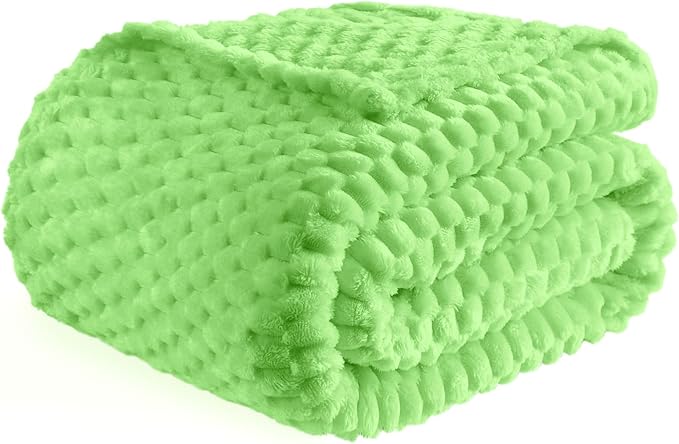 Bnuitland Light Green Flannel Throw Twin Size Blanket (60X80 inches), 300 GSM Fleece Cozy Warm Soft Home Decor Lightweight Bed Blanket for Adults, Suitable for All Seasons.
