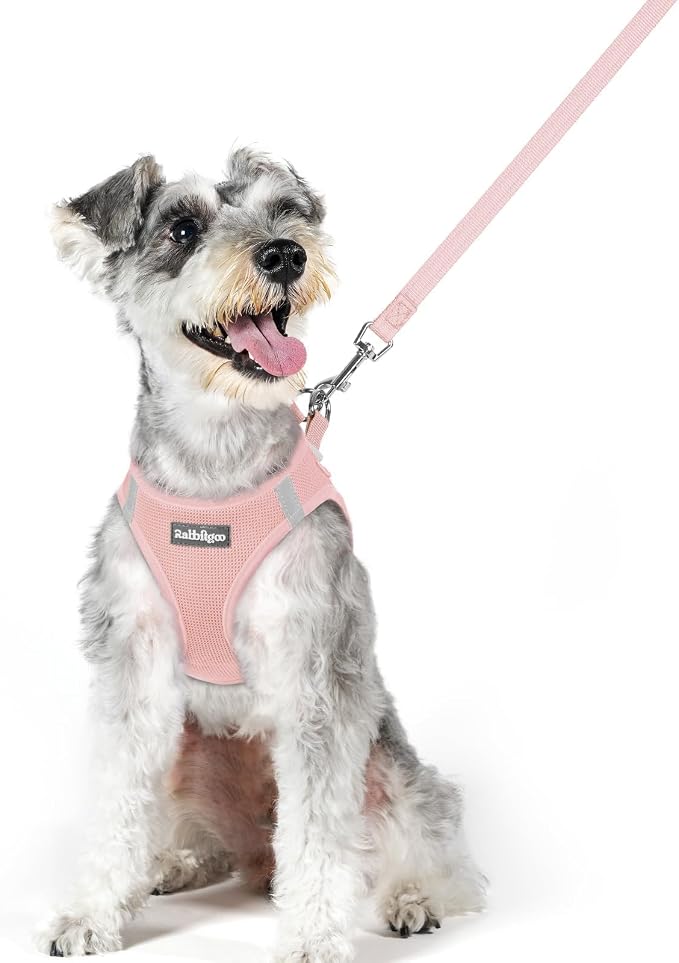 rabbitgoo Dog Harness Medium Sized and Leash Set, Step-in Puppy Pet Vest | Light, Soft, Breathable Air Mesh, Easy on and Remove with Hook & Loop, Secure Reflective for Walking, Pink XL