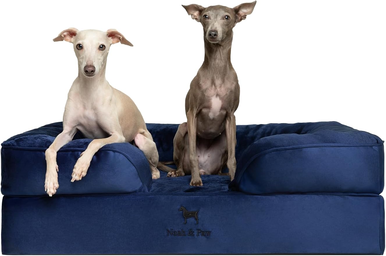 NOAH & PAW Large Dog Bed, 35x25x11 Inch, Orthopedic Dog Beds, Eggshell Memory Foam Infused with Cooling Gel, Inner Cover, Water Resistant, Machine Washable (Velvet Sofa Collection)