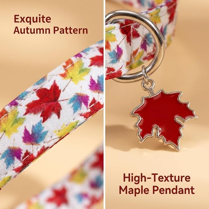 Fall Dog Collar, Puppy Collar for Small Dogs, S
