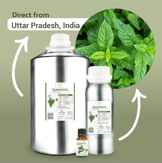 Spearmint Essential Oil - Direct from Essential Oils India - Steam Distilled - Aceite Esencial de Menta Verde for Aromatherapy, Massage, Diffuser, DIY Candle and Soap Making - 15ml