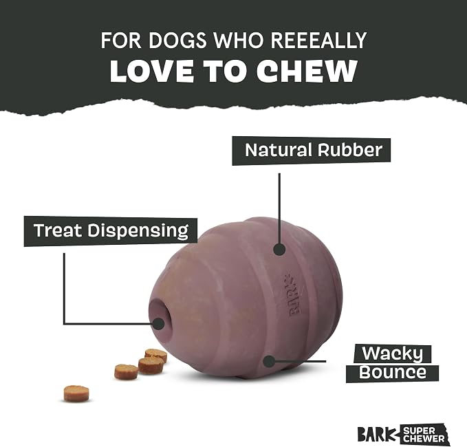 BarkBox Pine Cone Dog Toy