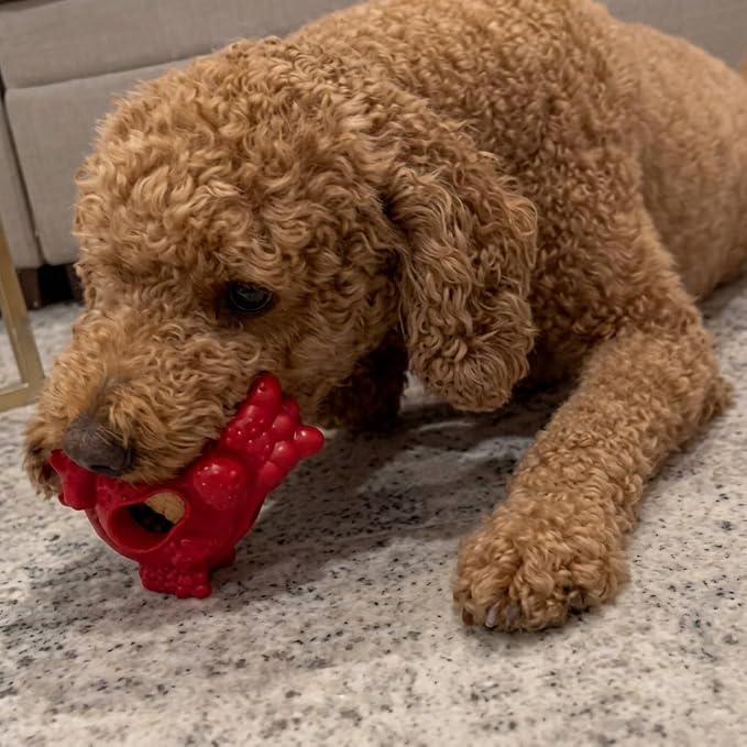 Yeti Puff & Play Interactive Dog Toy, Nugget Treat Dispenser, Red Dragon