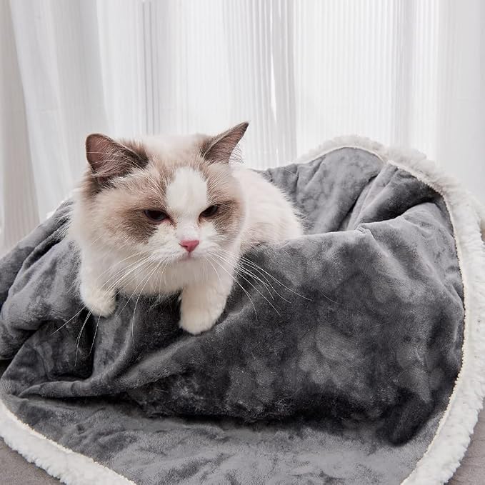Pet Blankets for Cats - Waterproof Cat Blanket Washable - Sherpa Fleece Puppy Blanket, Soft Plush Reversible Throw Protector for Bed Couch Car Sofa, 25"X30", Dark Grey
