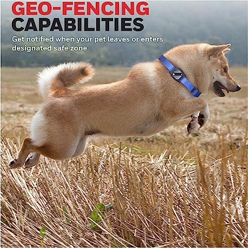 Honeywell Pet Activity Tracker with GPS for Dogs, Blue- Use Your Collar or Included One-Size-Fits-All Collar- Geo-Fencing, Find-My-Pet Alarm, and Review History- Perfect Dog Fitness Tracker