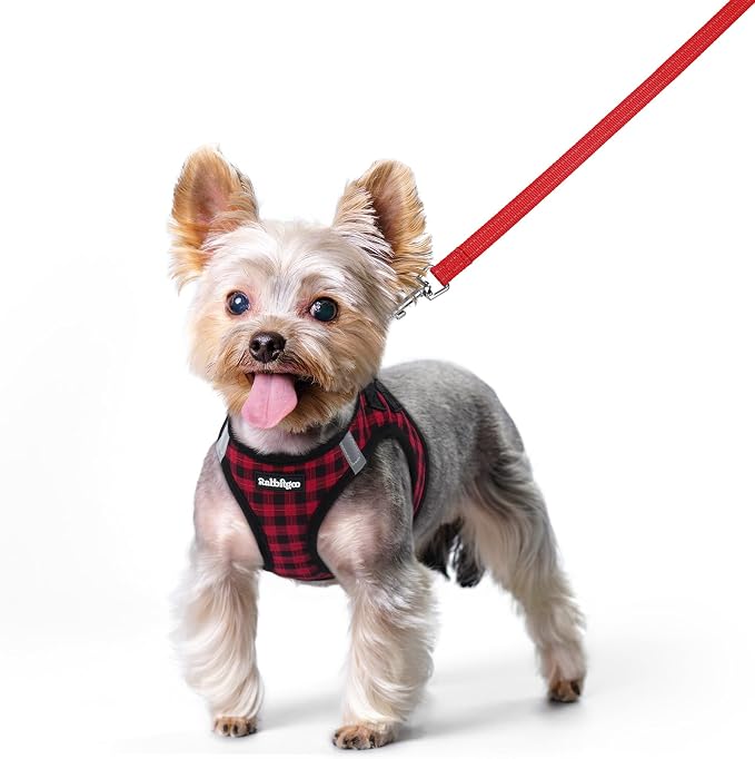 rabbitgoo Dog Harness Small Sized and Leash Set, Step-in Puppy Pet Vest | Light, Soft, Breathable Air Mesh, Easy on and Remove with Hook & Loop, Secure Reflective for Walking, Red Check XS