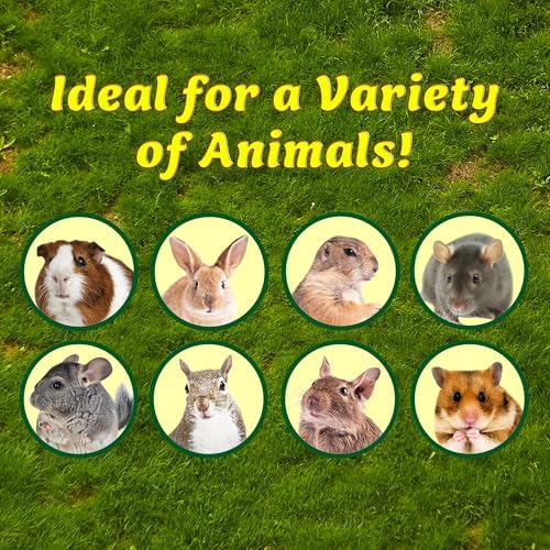Exotic Nutrition Chew Toy Bundle - Natural Interactive Chew Toys - Chinchillas, Guinea Pigs, Hamsters, Rabbits, Degus, Prairie Dogs, Small Pets