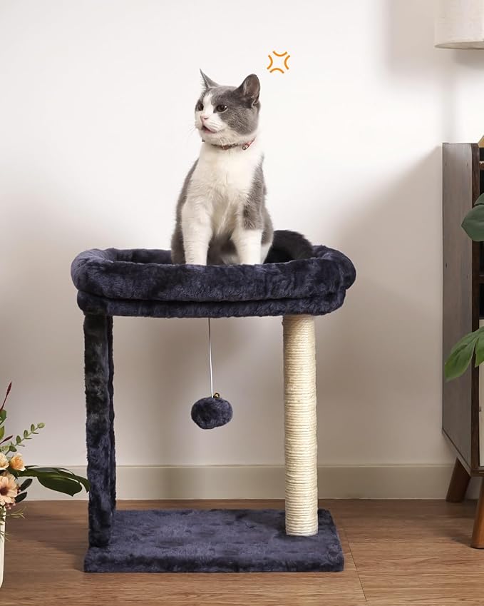 SYANDLVY Samll Cat Tree for Indoor Cats, Scratching Board Scratcher & Perch | Cat Scratching Post with 2 Dangling Balls, Great for Kittens