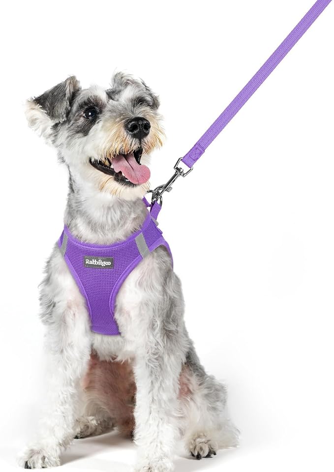 rabbitgoo Dog Harness Medium Sized and Leash Set, Step-in Puppy Pet Vest | Light, Soft, Breathable Air Mesh, Easy on and Remove with Hook & Loop, Secure Reflective for Walking, Purple XL