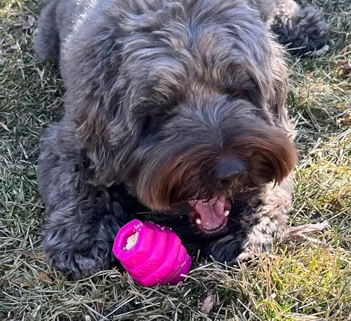 Hive Chew Toy for S/M Dogs – Pink/Wild Berry Scent – Chew, Fetch, & Treat-Dispensing Enrichment Toy, Floats, Made in USA, Pairs with Hive Chew Sticks for S/M Dogs for Longer-Lasting Play