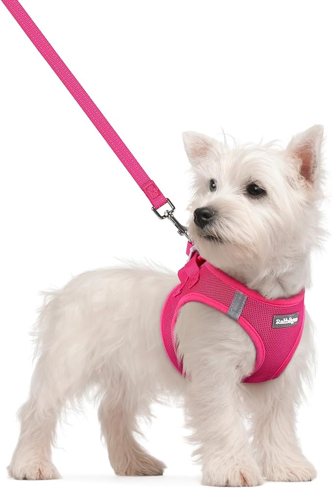 rabbitgoo Dog Harness Small Sized and Leash Set, Step-in Puppy Pet Vest | Light, Soft, Breathable Air Mesh, Easy on and Remove with Hook & Loop, Secure Reflective for Walking, Rose Red S