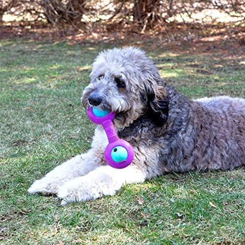 Chew King Premium Throw Stick Dog Toy - Durable Natural Rubber Collection, Fetch and Tug Dog Toy, Pet Treat Toys for Boredom