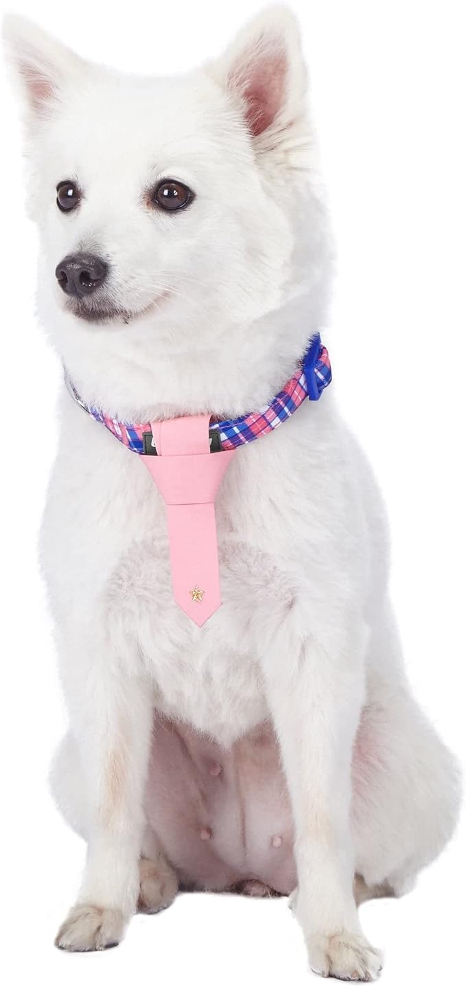 Blueberry Pet 4 Patterns Multiple Hues Scottish Plaid Style Adjustable Tie Dog Collar, Small, Neck 12"-16"