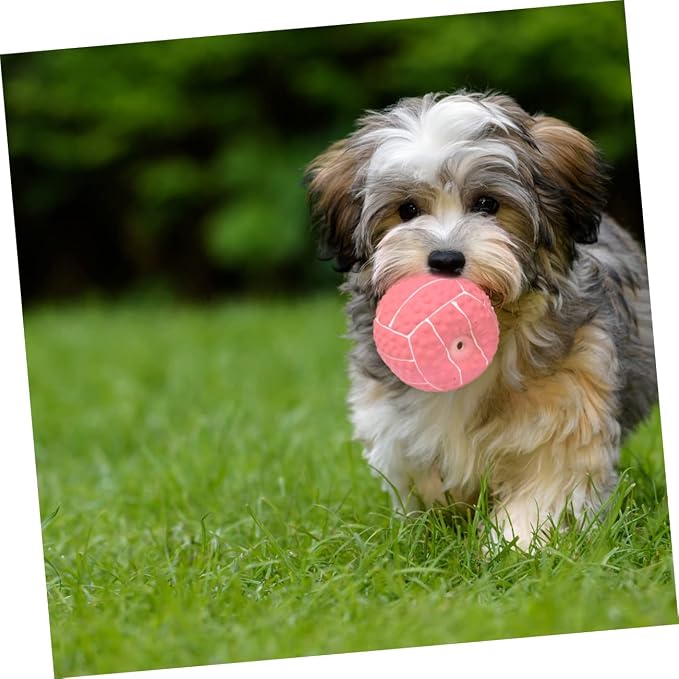 2Pcs Dog Latex Balls Squeaky Teething Toys for Dogs Elastic and Durable Fetch Balls Dog Toys for Interactive Play and Chewing