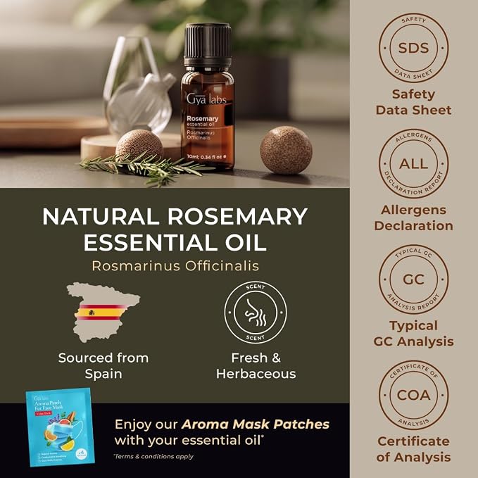 Basil & Rosemary Essential Oil Set - Aromatherapy Grade Essential Oils Set - 2x0.34 fl oz - Gya Labs